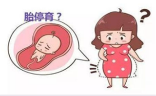 胎停育后再孕应该怎么做？