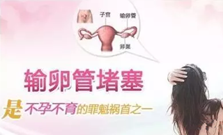 导致不孕不育的因素有哪些？